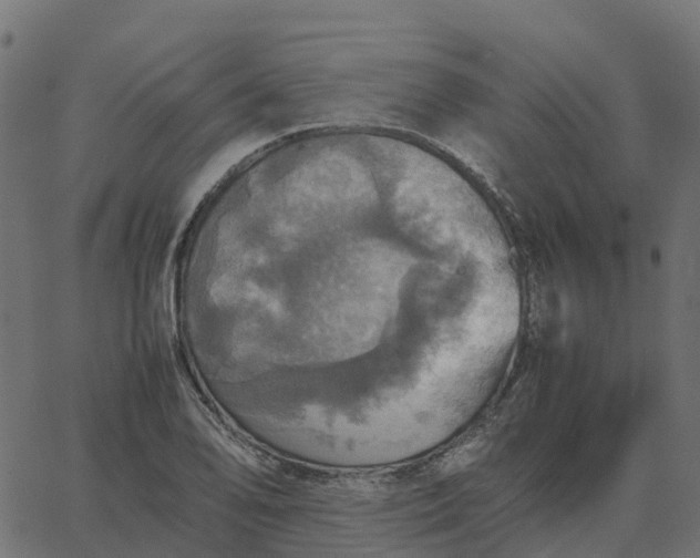 X0000067891078200604271820