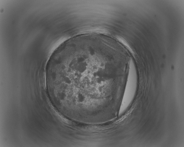 X0000067891079200604271820