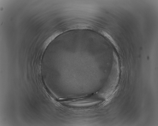 X0000067891081200604271820