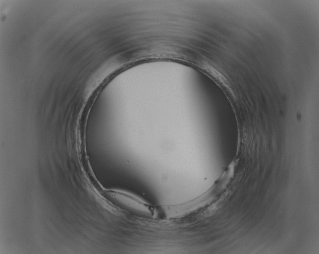 X0000067891082200604271820