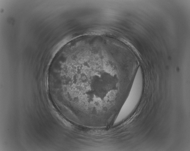 X0000067891083200604271820