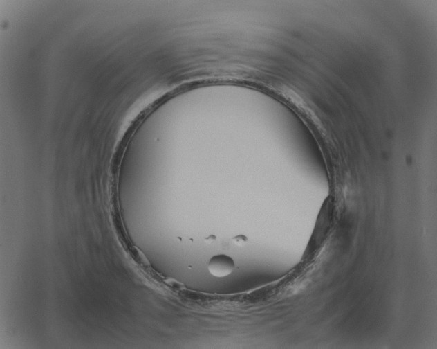 X0000067891085200604271820