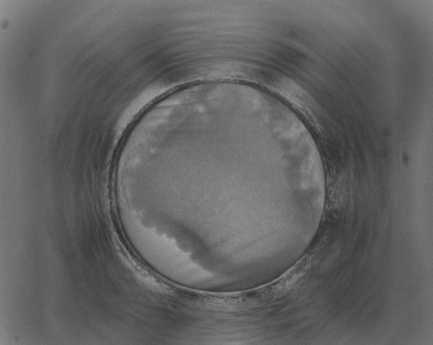 X0000067891086200604271820