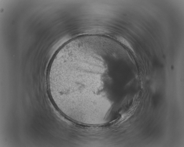 X0000067891087200604271820