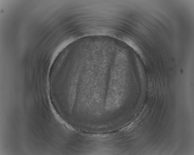 X0000067891088200604271820