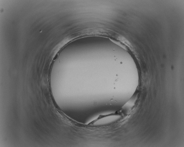 X0000067891089200604271820