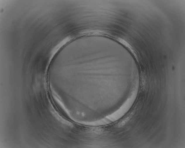 X0000067891090200604271820