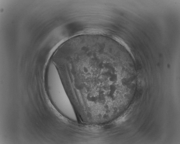 X0000067891091200604271820