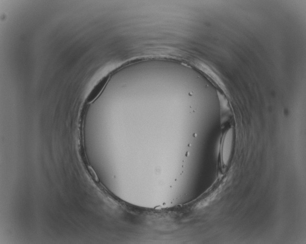 X0000067891093200604271820