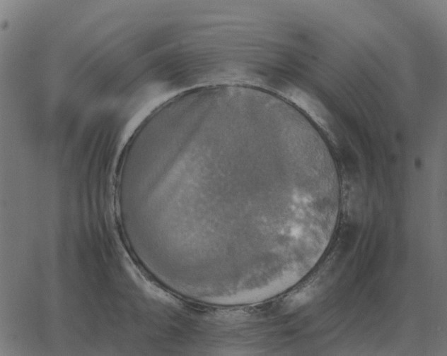 X0000067891094200604271820