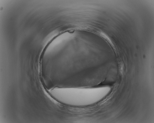 X0000067891095200604271820