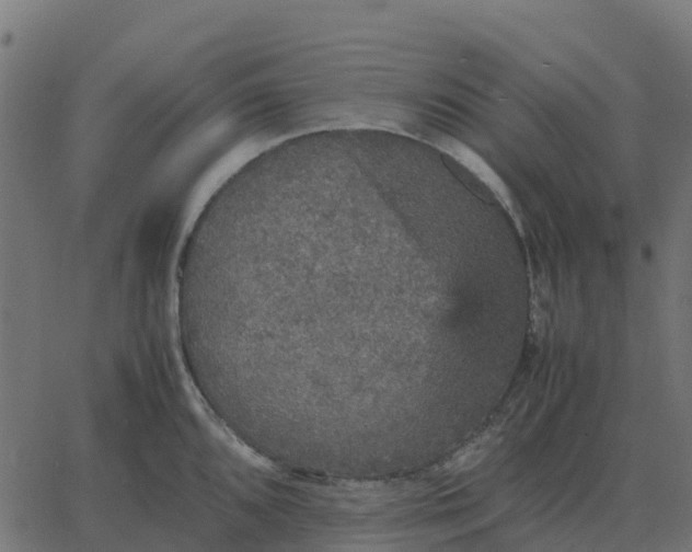 X0000067891096200604271820