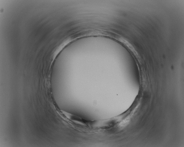 X0000067891097200604271820