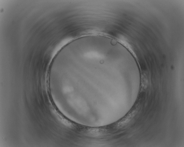 X0000067891098200604271820