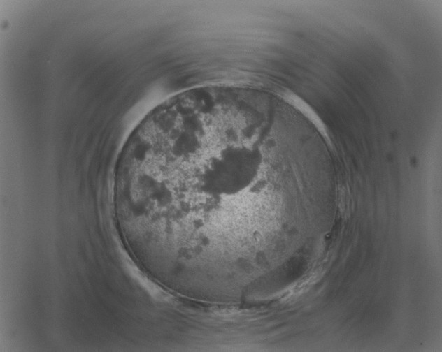 X0000067891099200604271820