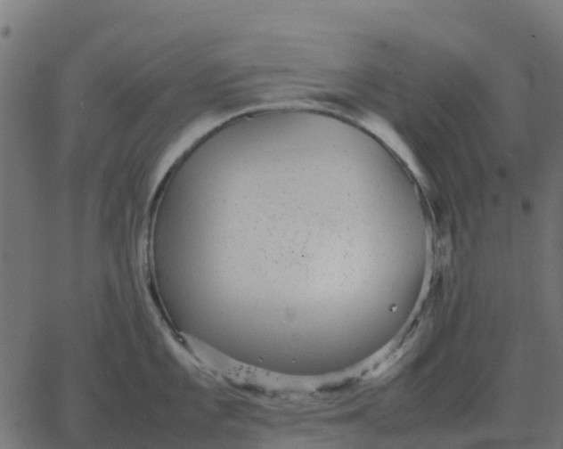 X0000067891101200604271820