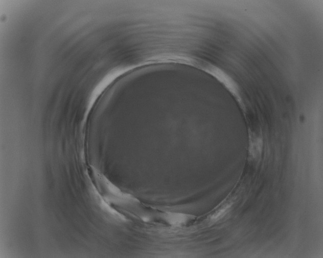 X0000067891102200604271820