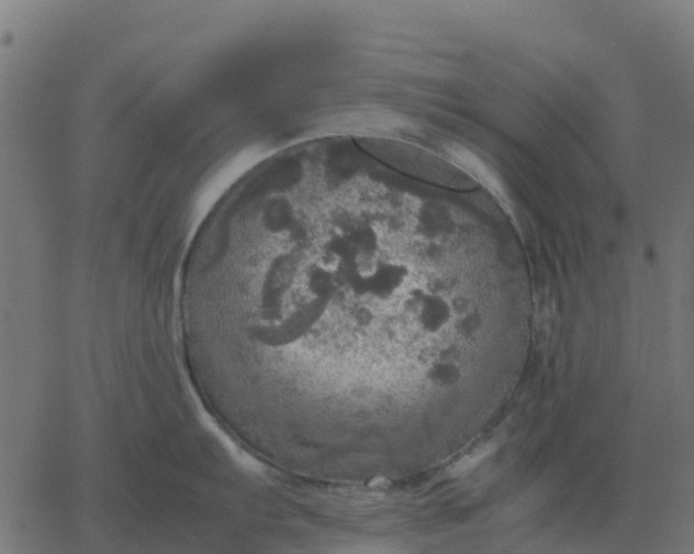 X0000067891103200604271820