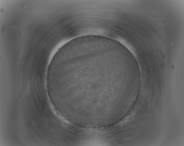 X0000067891104200604271820