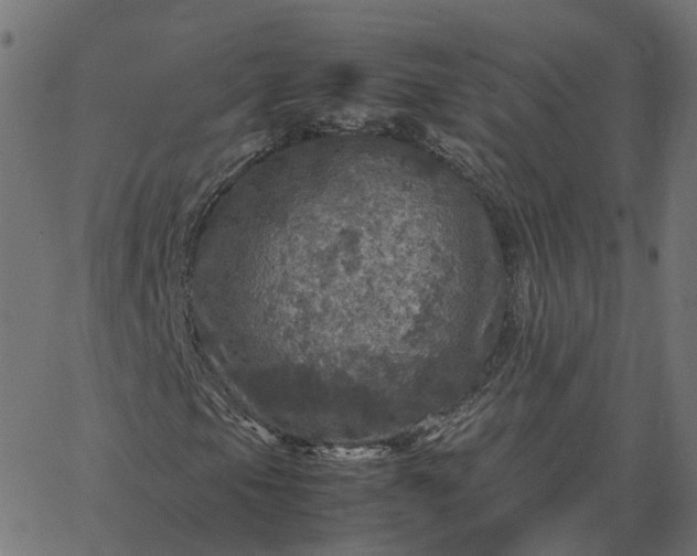 X0000067891105200604271819