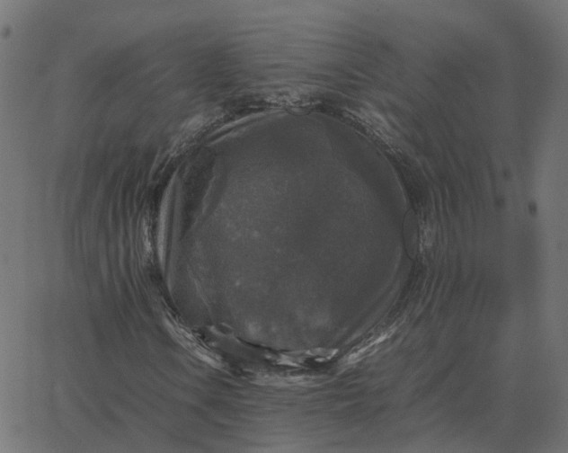 X0000067891106200604271819