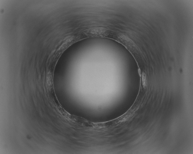 X0000067891107200604271819