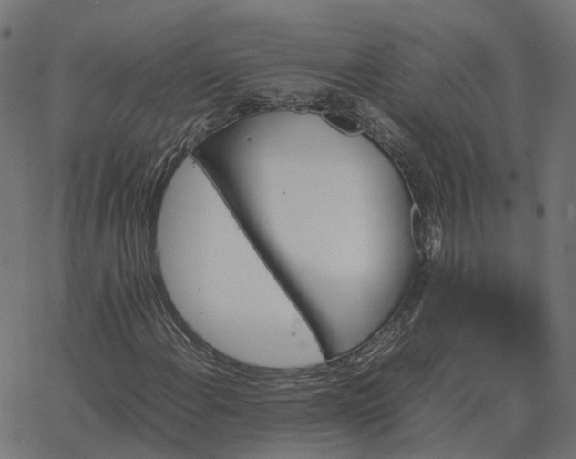 X0000067891108200604271819