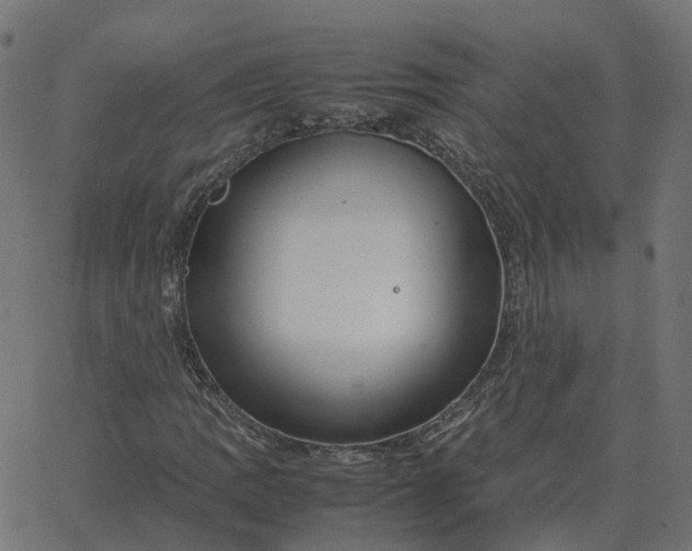 X0000067891109200604271819