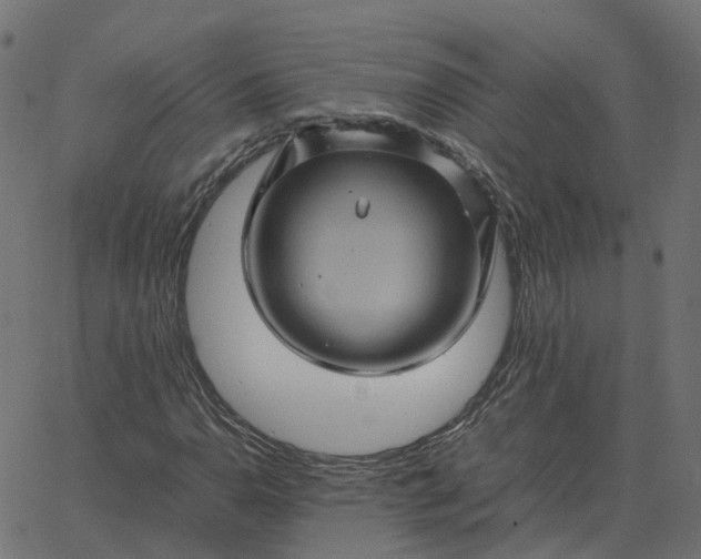 X0000067891110200604271819