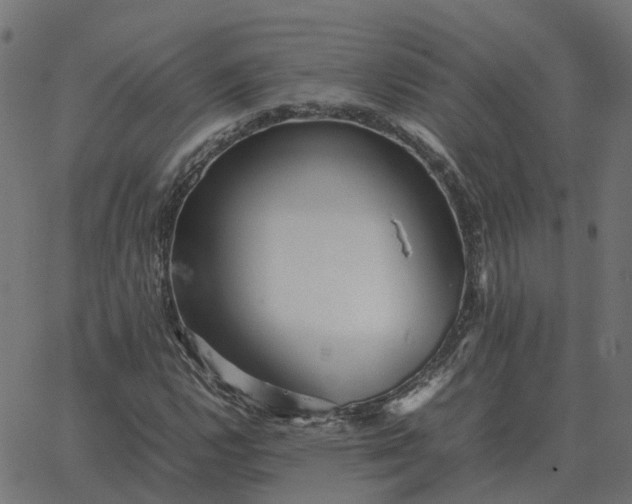 X0000067891112200604271819