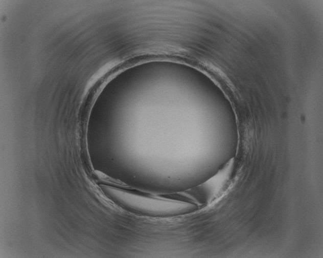 X0000067891114200604271819