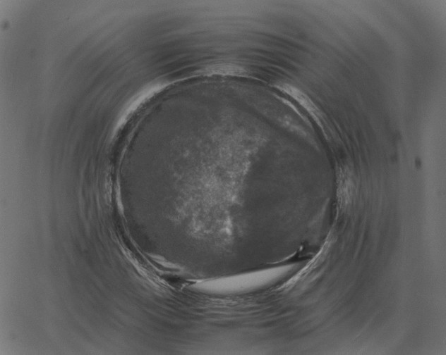 X0000067891115200604271819