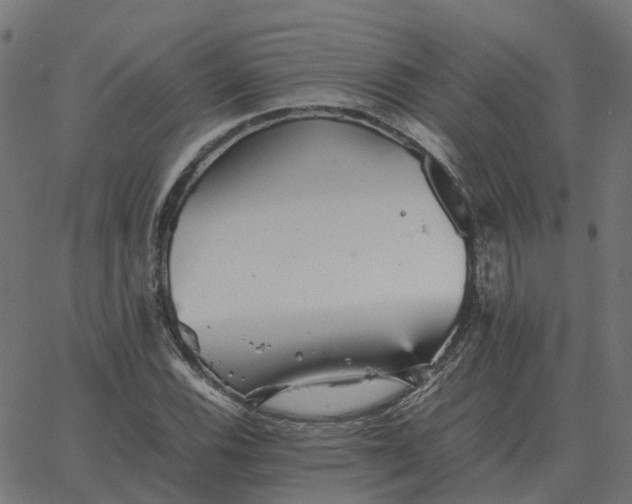 X0000067891116200604271819