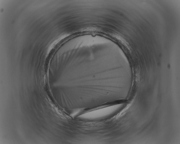 X0000067891117200604271819