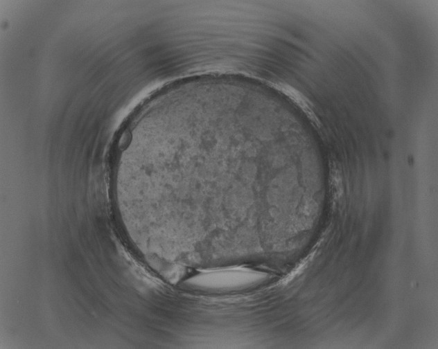 X0000067891118200604271819