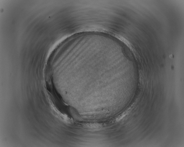 X0000067891120200604271819