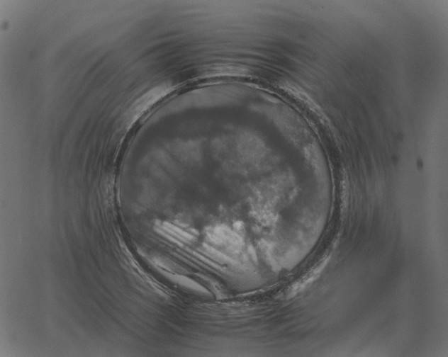 X0000067891121200604271819