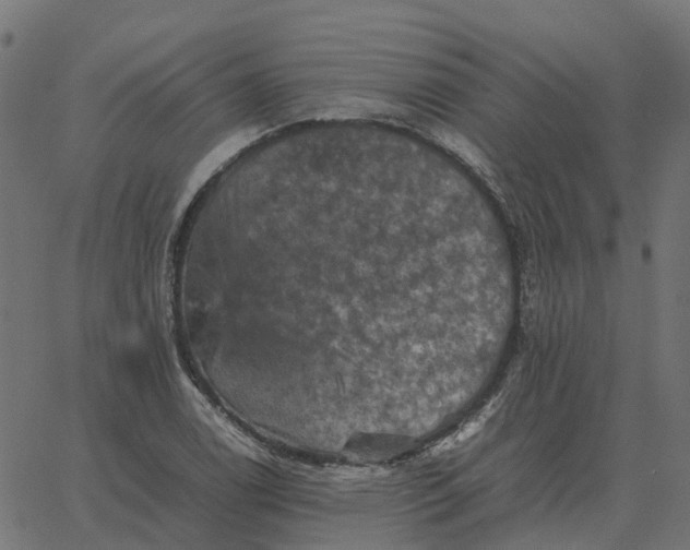 X0000067891122200604271819