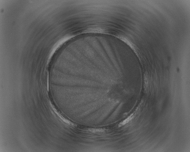 X0000067891123200604271819