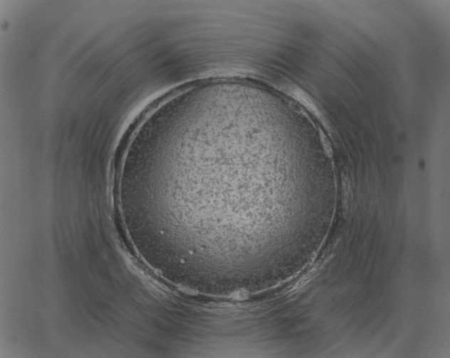 X0000067891124200604271819