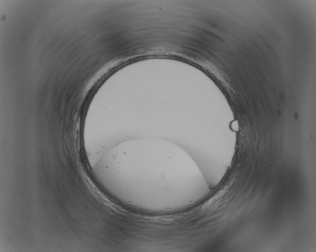 X0000067891126200604271819