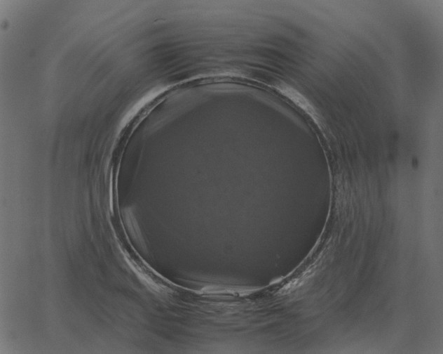 X0000067891127200604271819