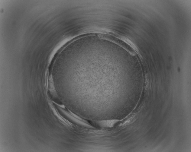 X0000067891128200604271819