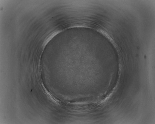 X0000067891129200604271819