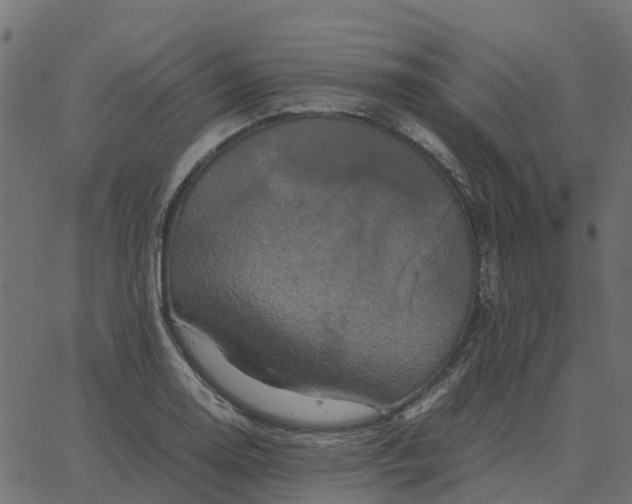 X0000067891130200604271819