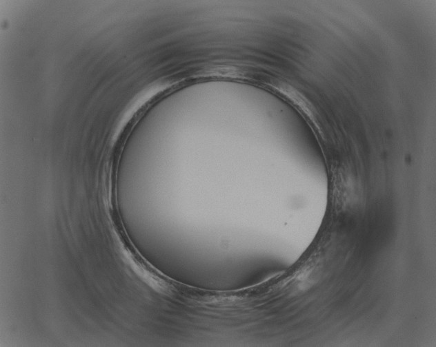 X0000067891131200604271819