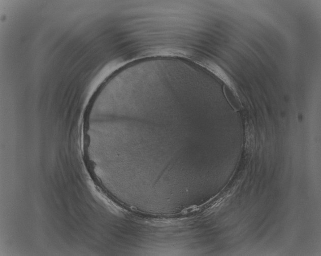 X0000067891132200604271819