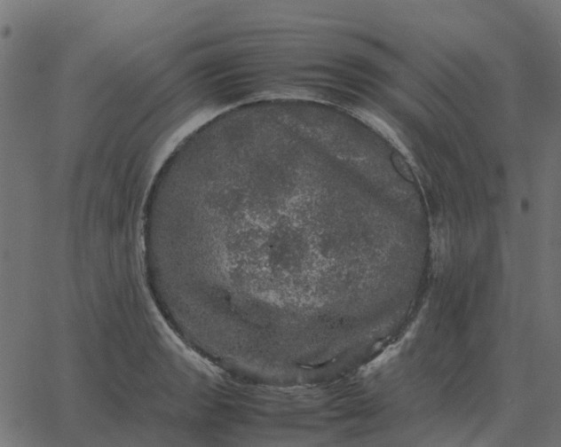 X0000067891133200604271819