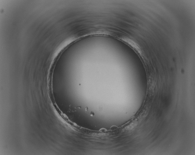 X0000067891135200604271819