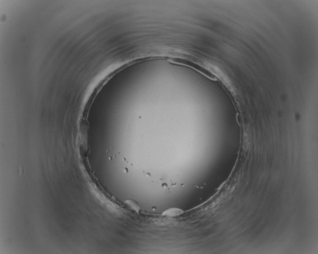 X0000067891136200604271820